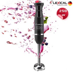 MIXEUR PLONGEANT INOX LEXICAL